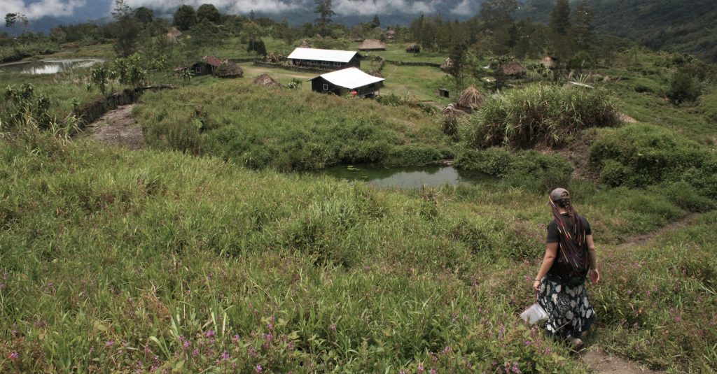 Rachel in Papua, walking down a hill towards a small hamlet, surrounded by long grass.